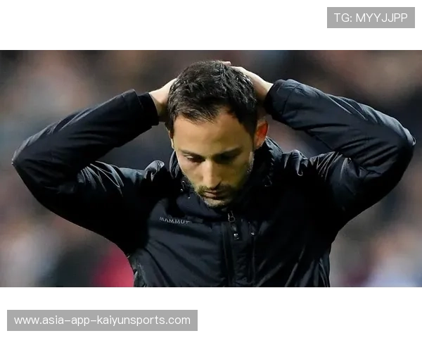 狼队管理层震荡：多梅尼科-泰蒂离职背后的深意与未来展望，多梅尼科·特德斯科